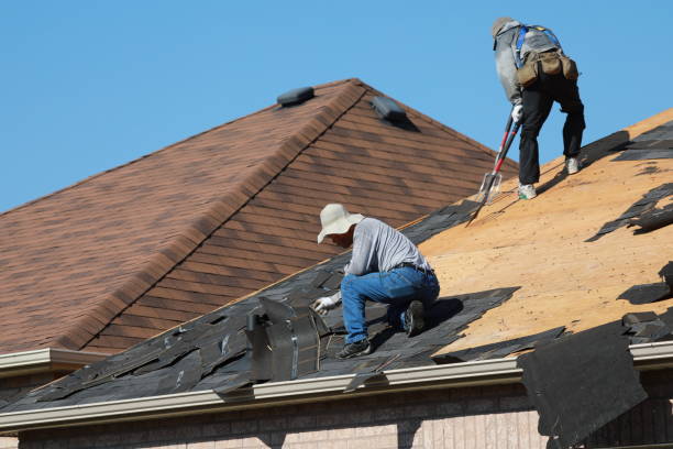 Best Asphalt Shingle Roofing  in Stone Park, IL